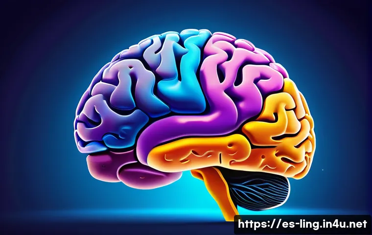 신경언어학 연구 - A highly detailed, realistic illustration of the human brain highlighting key language areas such as...